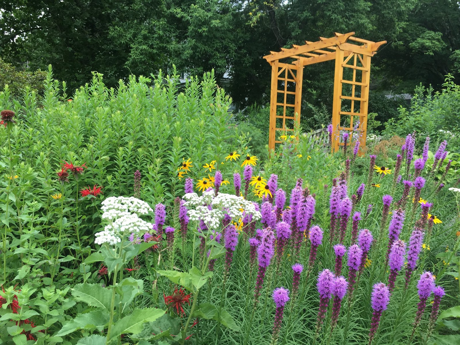 Stony Brook Butterfly Garden